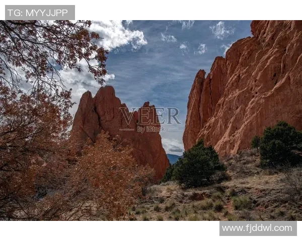 科罗拉多斯普林斯对决分析及比赛预测详解