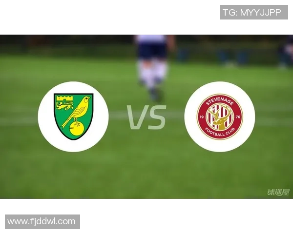 诺维奇与斯蒂文对决总进球数分析及比赛精彩回顾