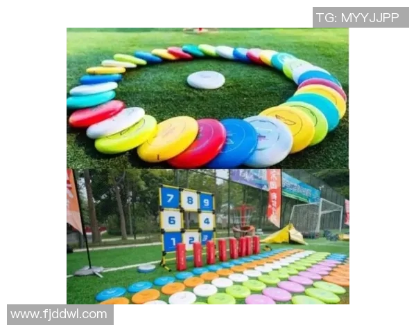 飞盘深度探索：揭秘杭州飞盘队如何实现战术转换与团队协作