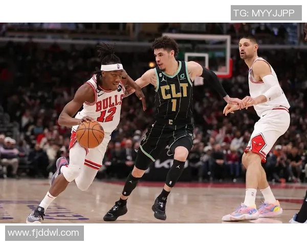 公牛与黄蜂激战全场精彩回放11月24日比赛精彩瞬间回顾